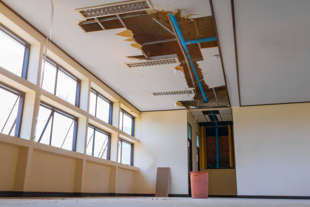 Best Carpet water damage restoration  in Republic, PA