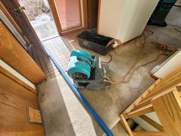 Best Mold removal after water damage  in Republic, PA