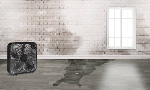 Best Residential water damage restoration  in Republic, PA