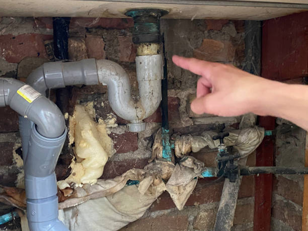 Best Flood damage cleanup  in Republic, PA
