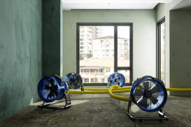 Best Water damage restoration near me  in Republic, PA
